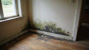 How to Sell a House With Mold Issues in Missouri